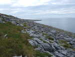 20060724-20.jpg