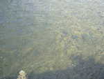 20060723-08.jpg