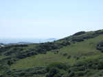 20060718-25.jpg