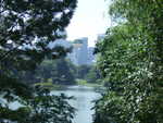 20080726-04-nyc.jpg