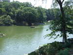 20080726-05-nyc.jpg