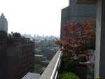 20080728-07-nyc.jpg