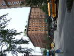 20080730-07-nyc.jpg