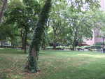 20080730-08-nyc.jpg