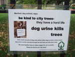 20080730-09-nyc.jpg