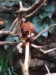 20080731-03-nyc.jpg