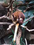 20080731-04-nyc.jpg