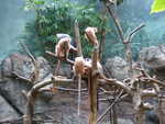 20080731-05-nyc.jpg