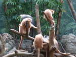 20080731-06-nyc.jpg