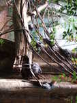 20080731-07-nyc.jpg