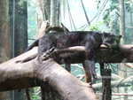 20080731-08-nyc.jpg