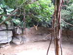 20080731-09-nyc.jpg