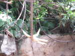 20080731-10-nyc.jpg
