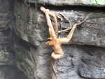 20080731-11-nyc.jpg