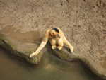 20080731-12-nyc.jpg