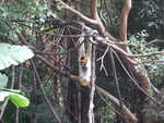 20080731-13-nyc.jpg