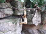 20080731-14-nyc.jpg