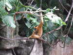 20080731-15-nyc.jpg