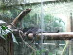 20080731-16-nyc.jpg