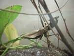 20080731-17-nyc.jpg