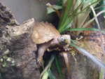 20080731-18-nyc.jpg