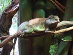 20080731-19-nyc.jpg