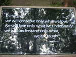 20080731-21-nyc.jpg