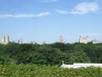20080801-12-nyc.jpg