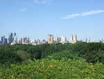 20080801-13-nyc.jpg