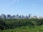 20080801-14-nyc.jpg