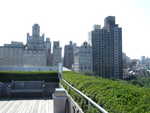 20080801-17-nyc.jpg