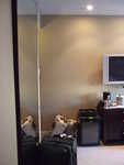 20080803-03-nyc.jpg