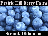 Prairie Hill Berry Farm